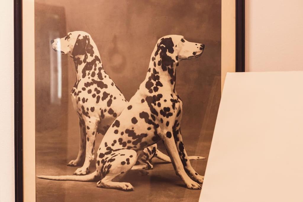 Art Studio Myslym Shyri Tirana Kültér fotó
